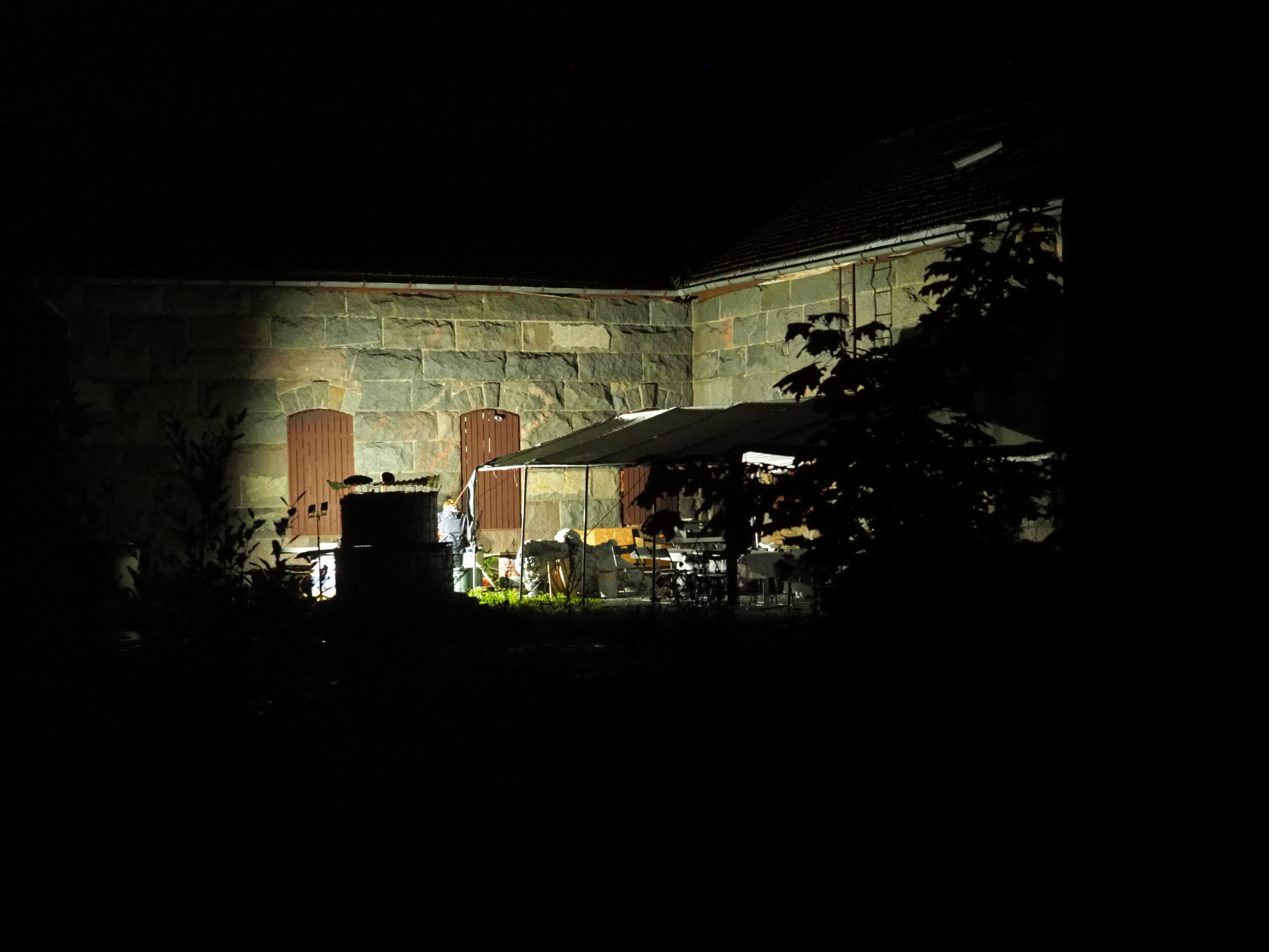 P9070008_01 (2)